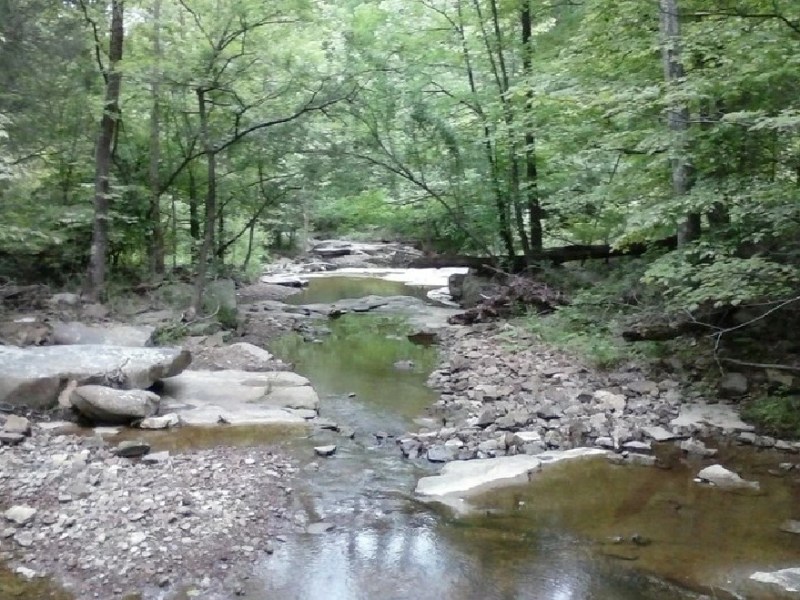 Our Peace