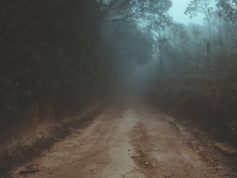 Why Do We Study&nbsp;Prophecy?