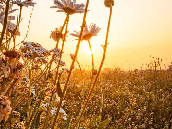 He Rose For Our&nbsp;Justification