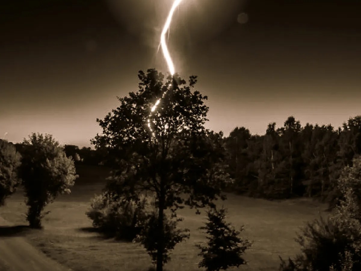 The Lesson Of&nbsp;Job